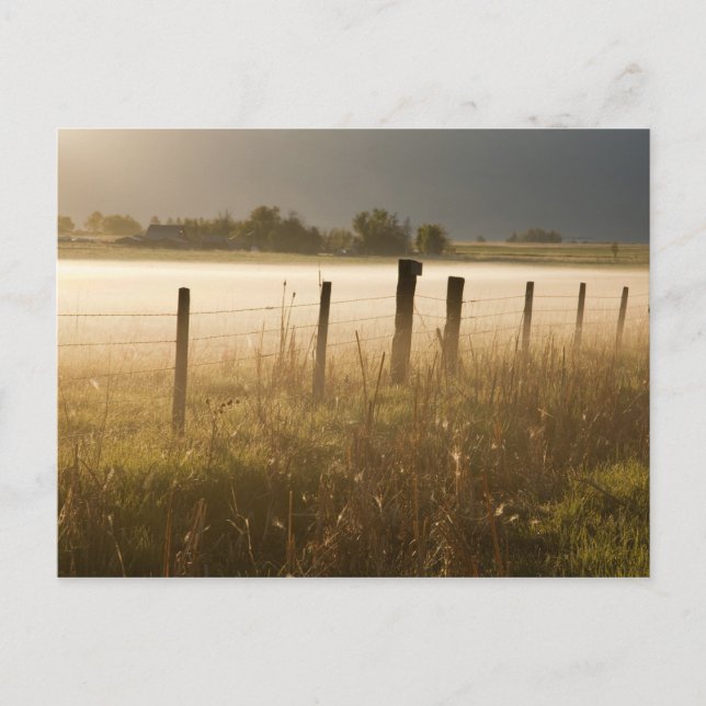 Sunrise lights fog along fence near Charlo Postcard (Front)