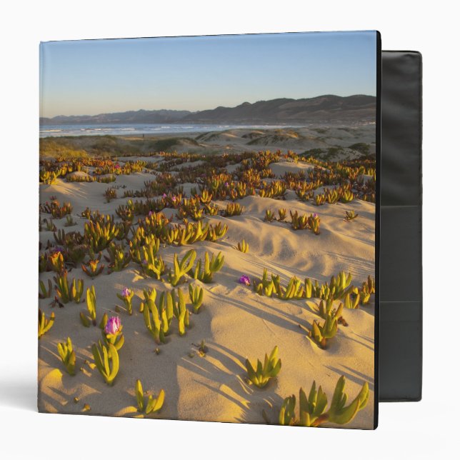 Sunrise lights the sand dunes and sea fig at binder (Front/Inside)