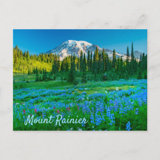 Sunrise Lupine and Mount Rainer Postcard