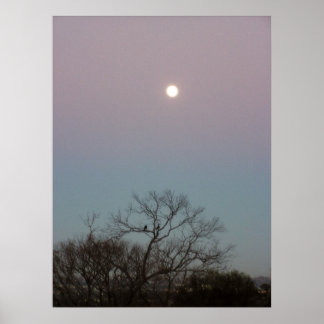 sunrise moon poster