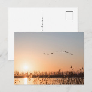 Sunrise Nature Photo Holiday Postcard