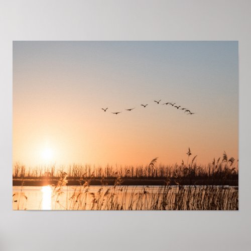 Sunrise Nature Photo Poster