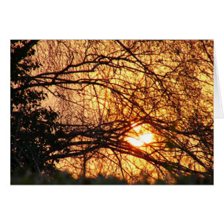 Sunrise notelet cards