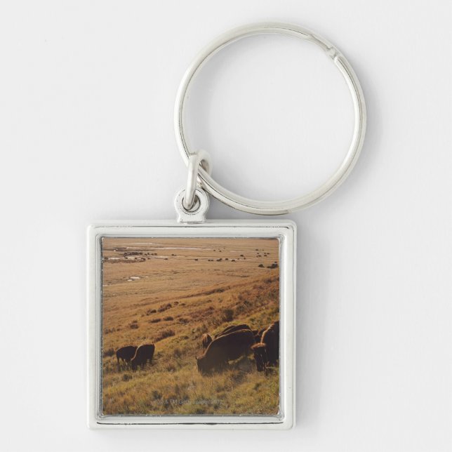 Sunrise On Bison Keychain (Front)