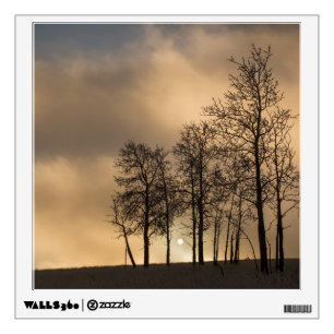 Sunrise on Clouds and Trees Wall Decal