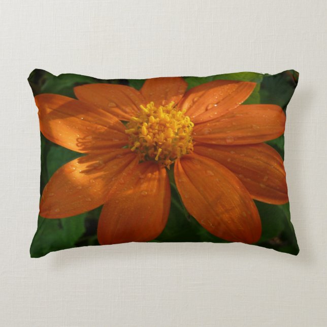 Sunrise on Mexican Sunflower Orange Floral Accent Pillow (Front)