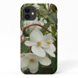 Sunrise on Mexican Sunflower Orange Floral iPhone 11 Case