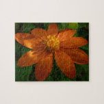 Sunrise on Mexican Sunflower Orange Floral Jigsaw Puzzle