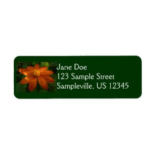 Sunrise on Mexican Sunflower Orange Floral Label