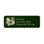Sunrise on Mexican Sunflower Orange Floral Label