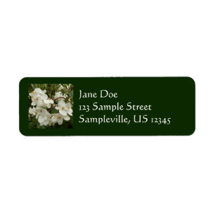 Sunrise on Mexican Sunflower Orange Floral Label