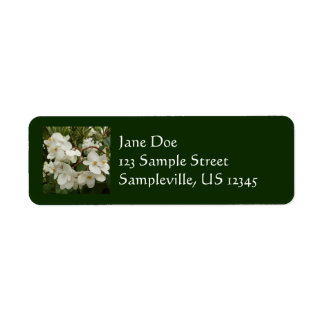 Sunrise on Mexican Sunflower Orange Floral Label