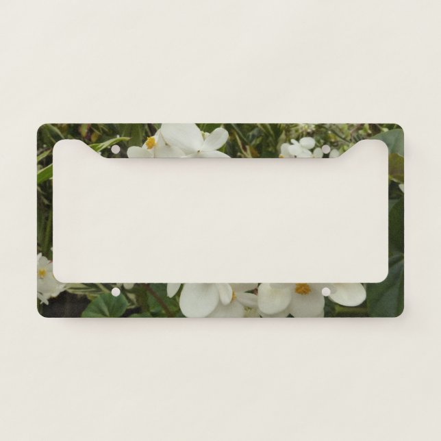 Sunrise on Mexican Sunflower Orange Floral License Plate Frame (Front)