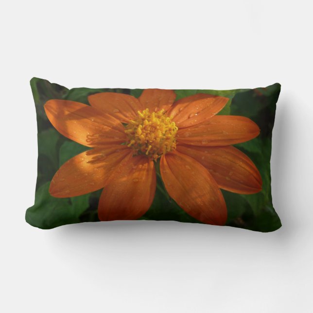 Sunrise on Mexican Sunflower Orange Floral Lumbar Pillow (Front)