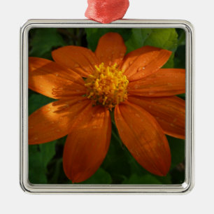 Sunrise on Mexican Sunflower Orange Floral Metal Ornament