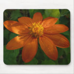 Sunrise on Mexican Sunflower Orange Floral Mouse Pad
