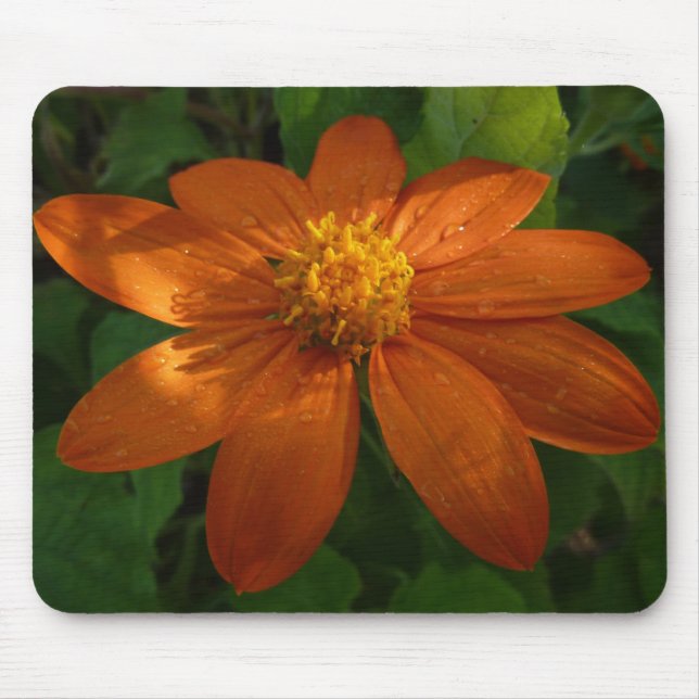 Sunrise on Mexican Sunflower Orange Floral Mouse Pad (Front)
