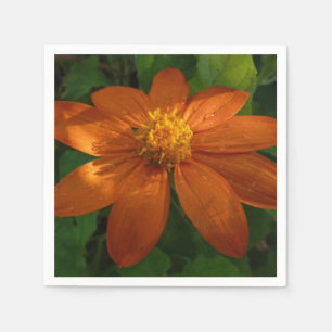 Sunrise on Mexican Sunflower Orange Floral Napkins
