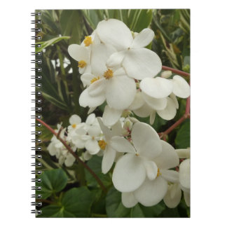 Sunrise on Mexican Sunflower Orange Floral Notebook