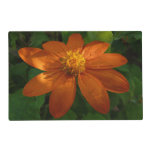 Sunrise on Mexican Sunflower Orange Floral Placemat
