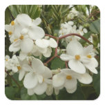 Sunrise on Mexican Sunflower Orange Floral Square Sticker