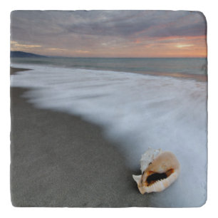 Sunrise On The Beach And A Shell Trivet