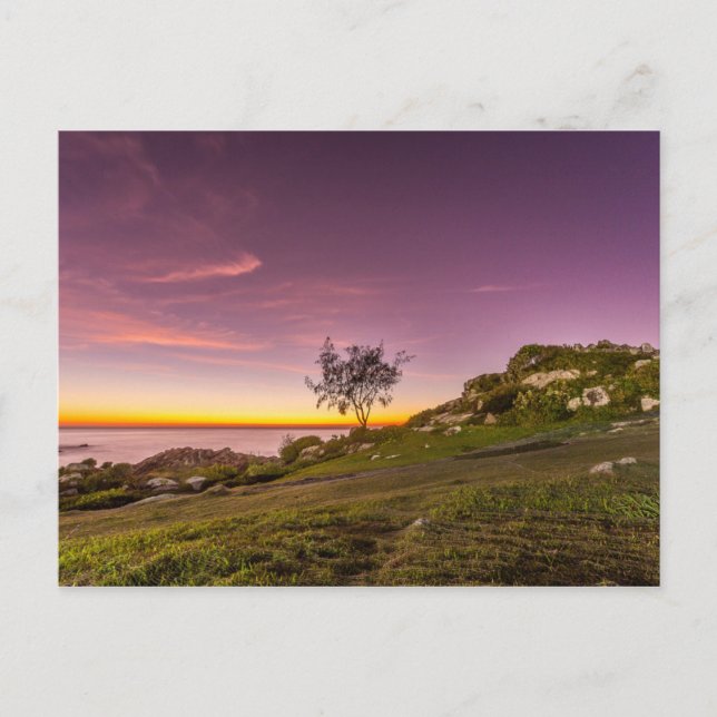 Sunrise On The Beach In Florianopolis Postcard (Front)