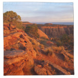 Sunrise on the Grand View Trail at CO Monument Cloth Napkin