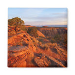 Sunrise on the Grand View Trail at CO Monument Magnet