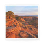 Sunrise on the Grand View Trail at CO Monument Paper Napkins