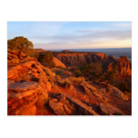 Sunrise on the Grand View Trail at CO Monument Postcard