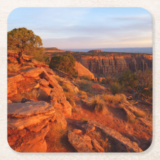 Sunrise on the Grand View Trail at CO Monument Square Paper Coaster
