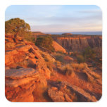 Sunrise on the Grand View Trail at CO Monument Square Sticker
