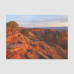 Sunrise on the Grand View Trail at CO Monument Tissue Paper