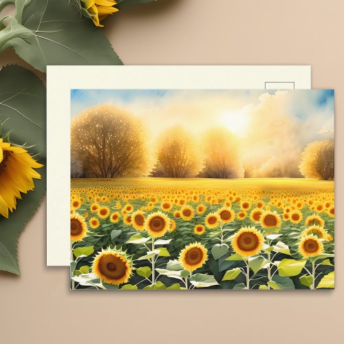 Sunrise Over a Field of Sunflowers Postcard