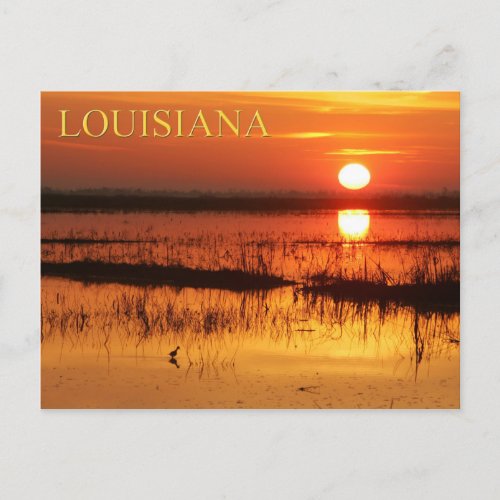 Sunrise over coastal waters of Louisiana Postcard
