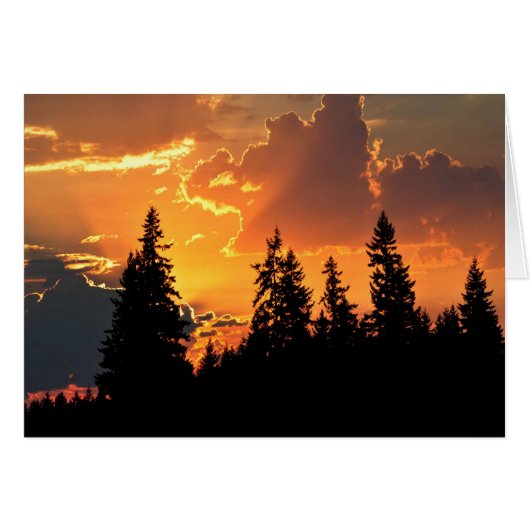 Sunrise Over Douglas Fir Trees Cards (Front Horizontal)