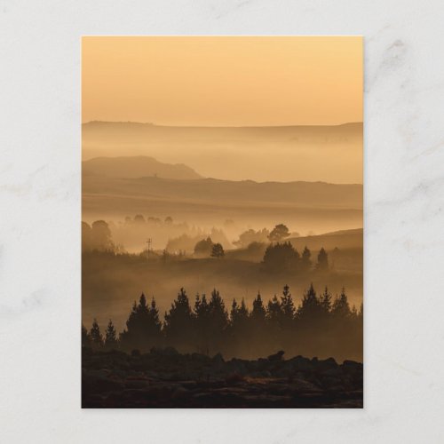 Sunrise Over Misty Rolling Hills Landscape Postcard