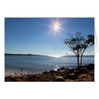 Sunrise over Rocky Neck State Park - Blank inside