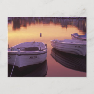Sunrise over Stari Grad harbor with fishing Postcard