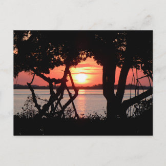 Sunrise over the Bay Postcard