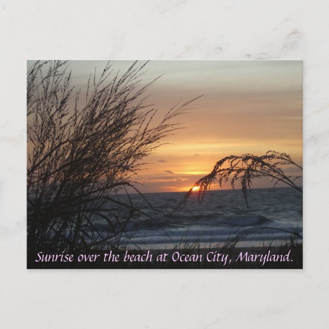 Sunrise over the beach at... postcard (Front)