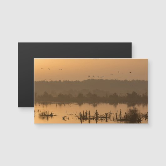 Sunrise over the marsh (Front/Back)