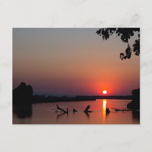 Sunrise over the Zambesi River Postcard