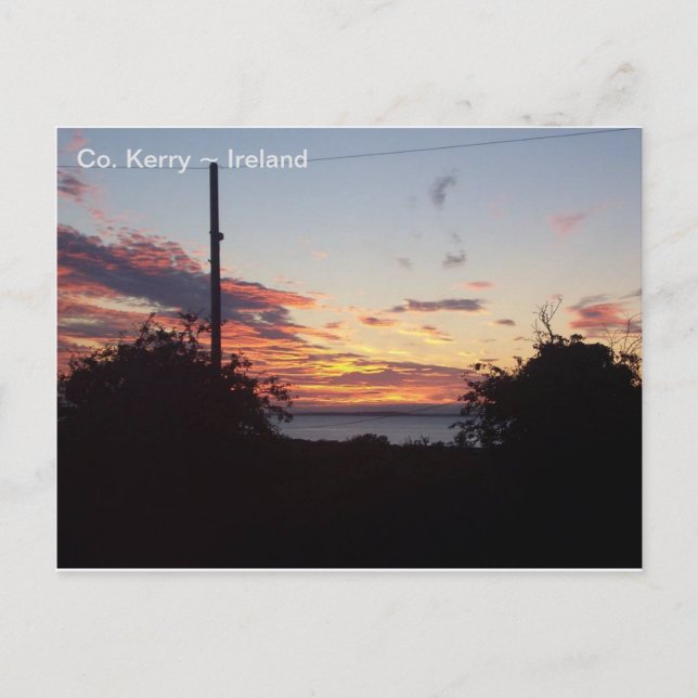 Sunrise over Tralee Bay, Co. Kerry, Ireland. Postcard (Front)