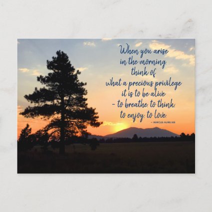 Sunrise Photograph Inspirational Gratitude Quote 