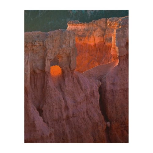Sunrise Point  Bryce Canyon National Park Wood Wall Art