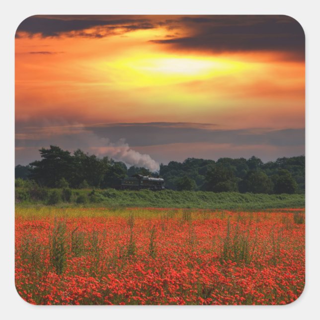 Sunrise Poppy Field And Steam Locomotive Square Sticker (Front)