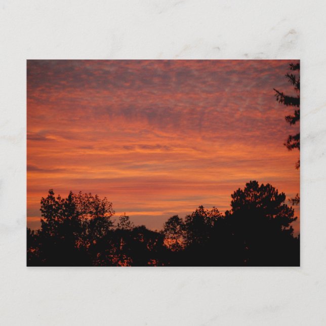 Sunrise Postcard (Front)