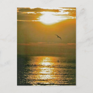 Sunrise Postcard